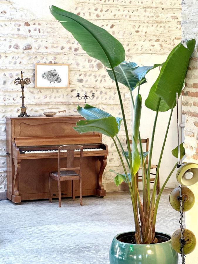 Magnifique Loft - Piscine - Tennis - Babyfoot Nîmes Extérieur photo
