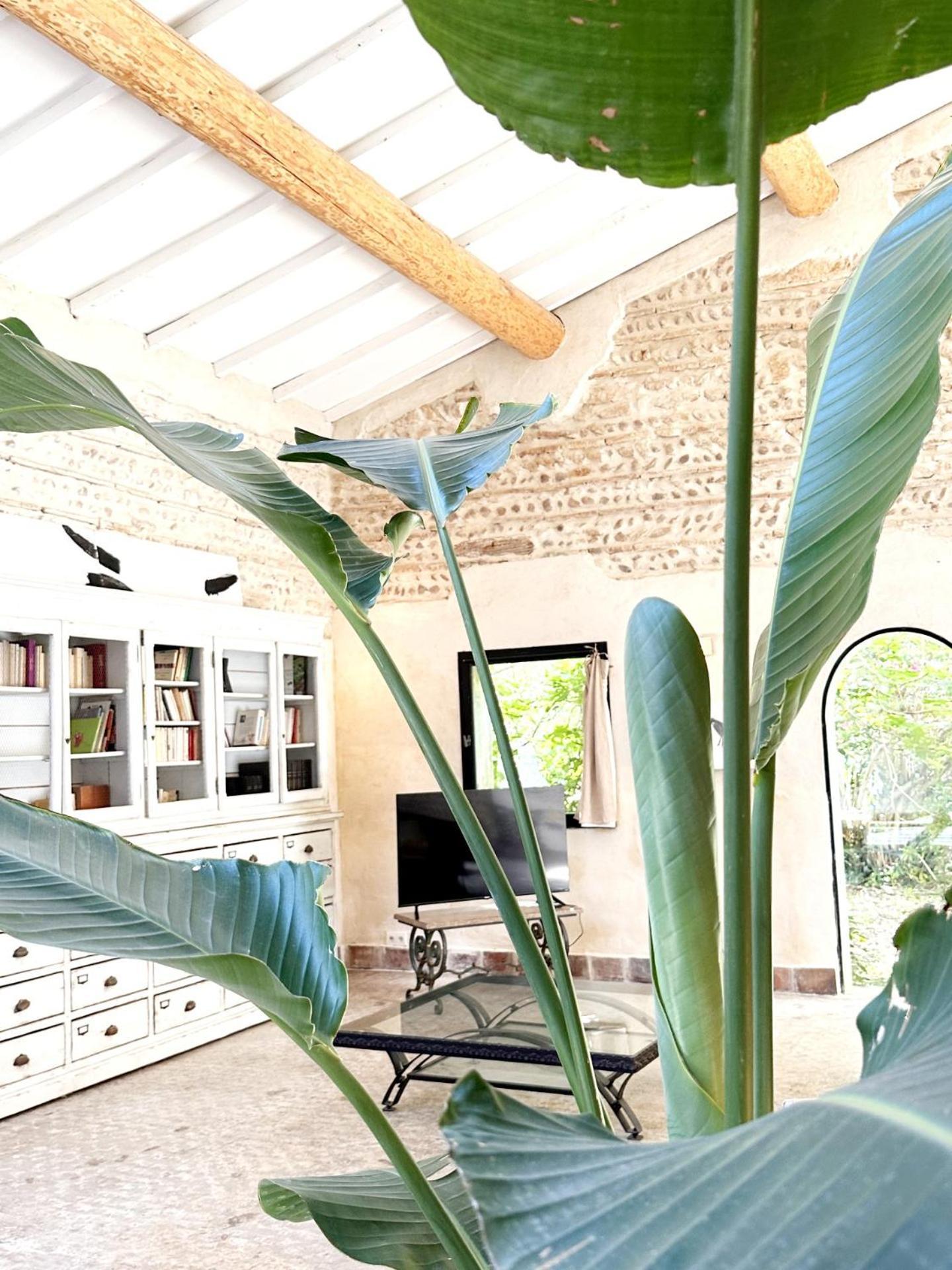 Magnifique Loft - Piscine - Tennis - Babyfoot Nîmes Extérieur photo